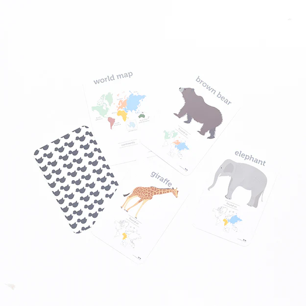 Flash Cards - World Animals - Image 2
