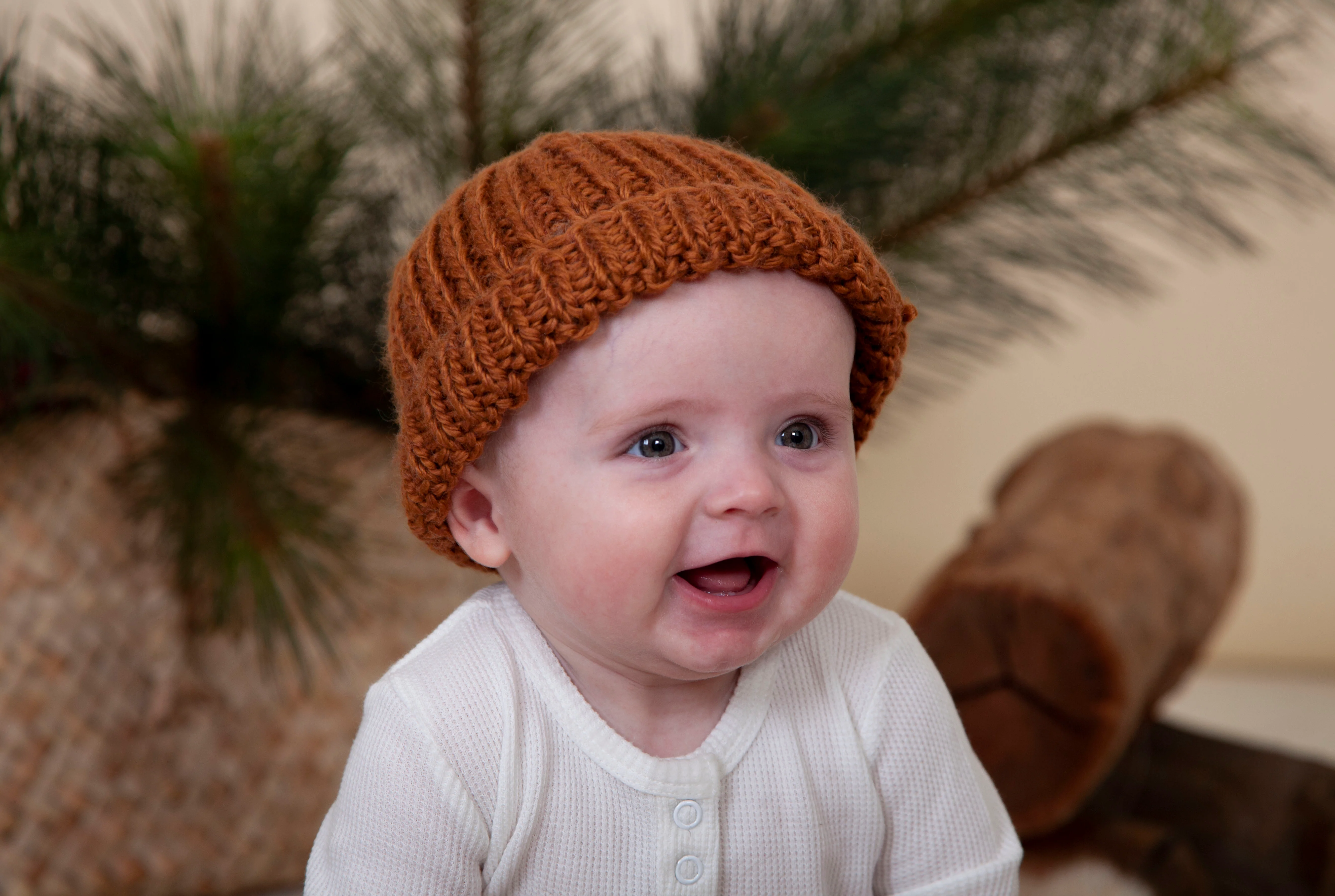 Acorn Freedom Beanie - Toast - Image 2