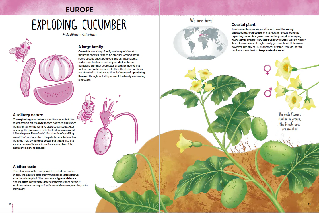 Atlas of Biodiversity - Flora of the World - Image 4