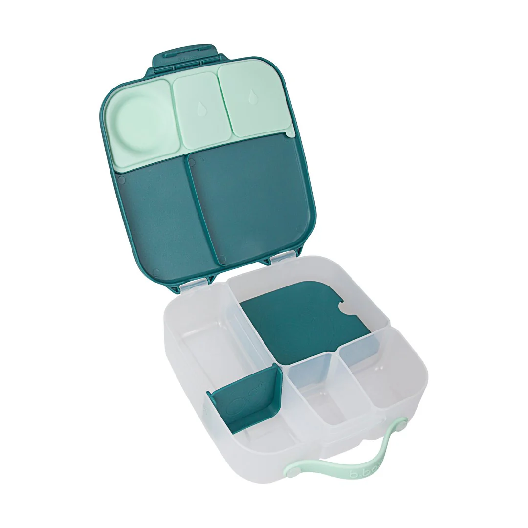 Lunchbox - Emerald Forest - Image 3