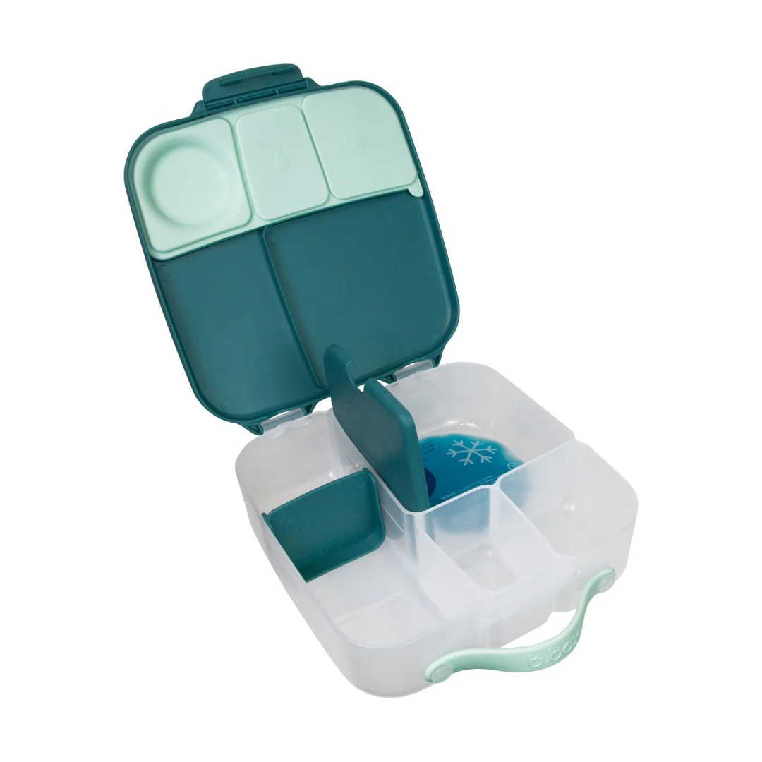 Lunchbox - Emerald Forest - Image 6