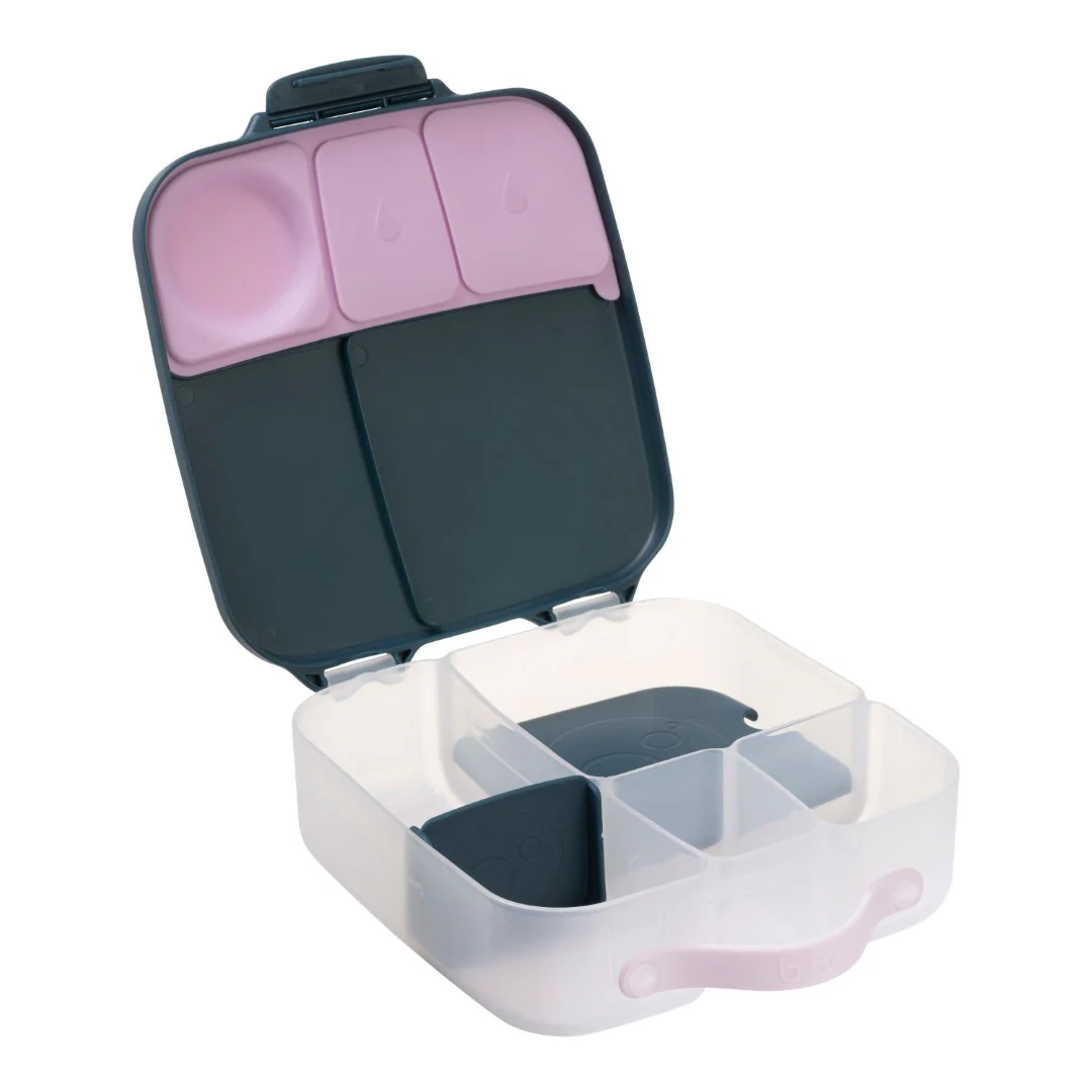 Lunchbox - Indigo Rose - Image 5