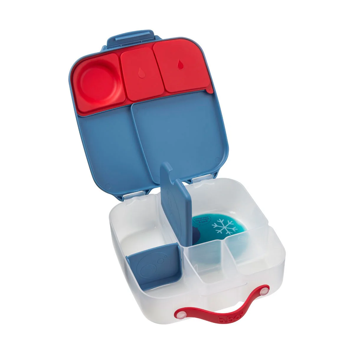 Lunchbox - Blue Blaze - Image 5