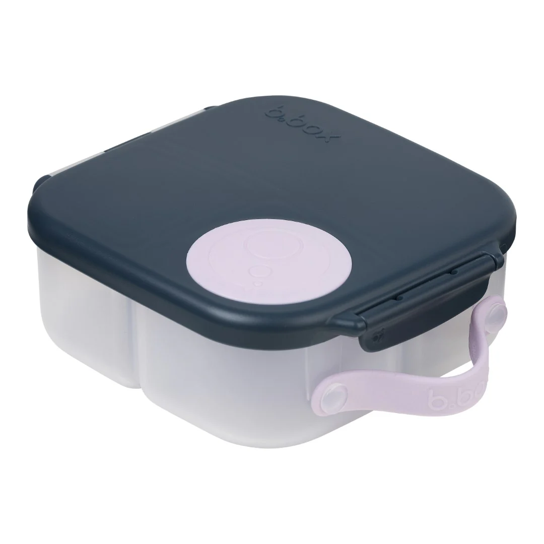 Mini Lunchbox - Indigo Rose