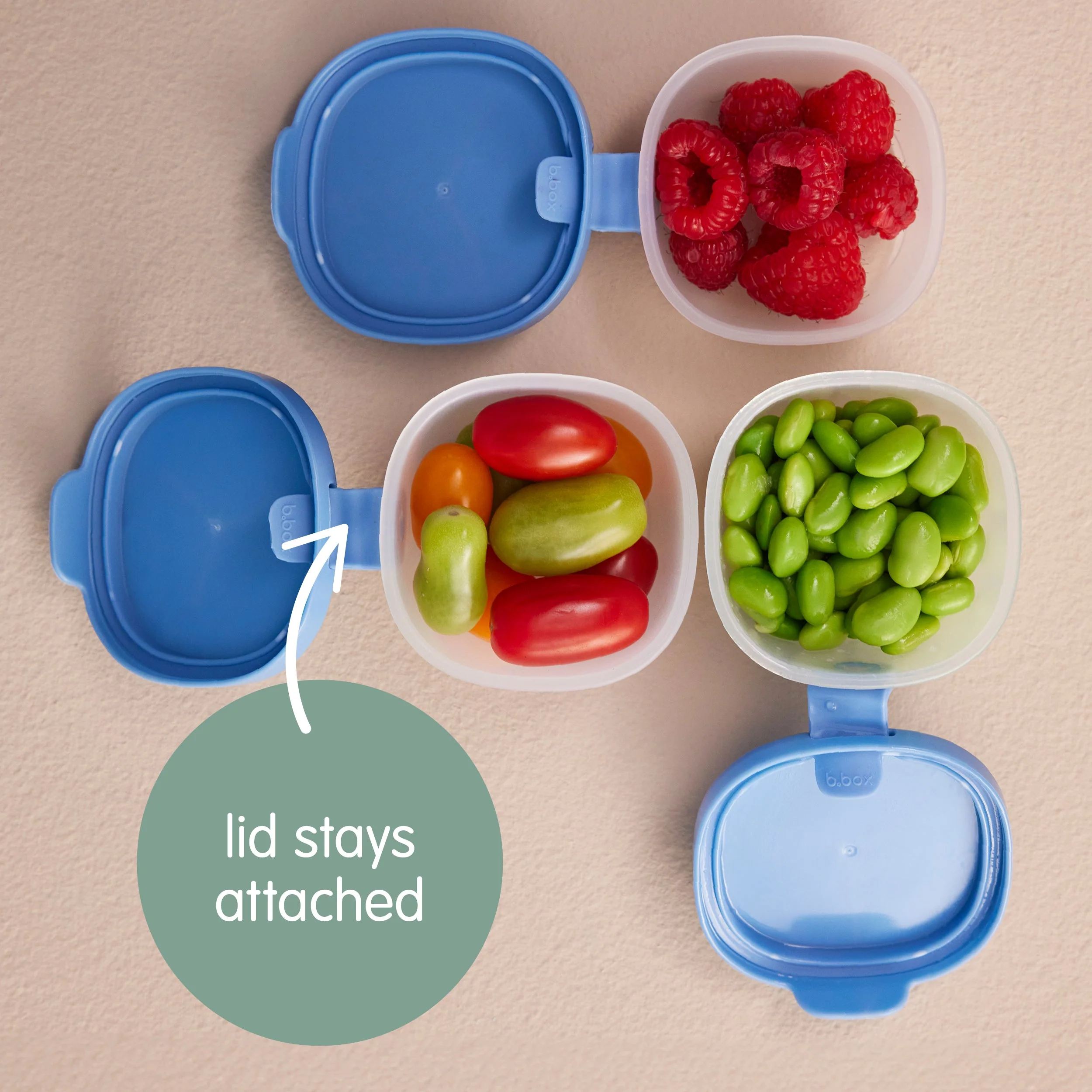 Snack Tubs - Ocean - Image 5
