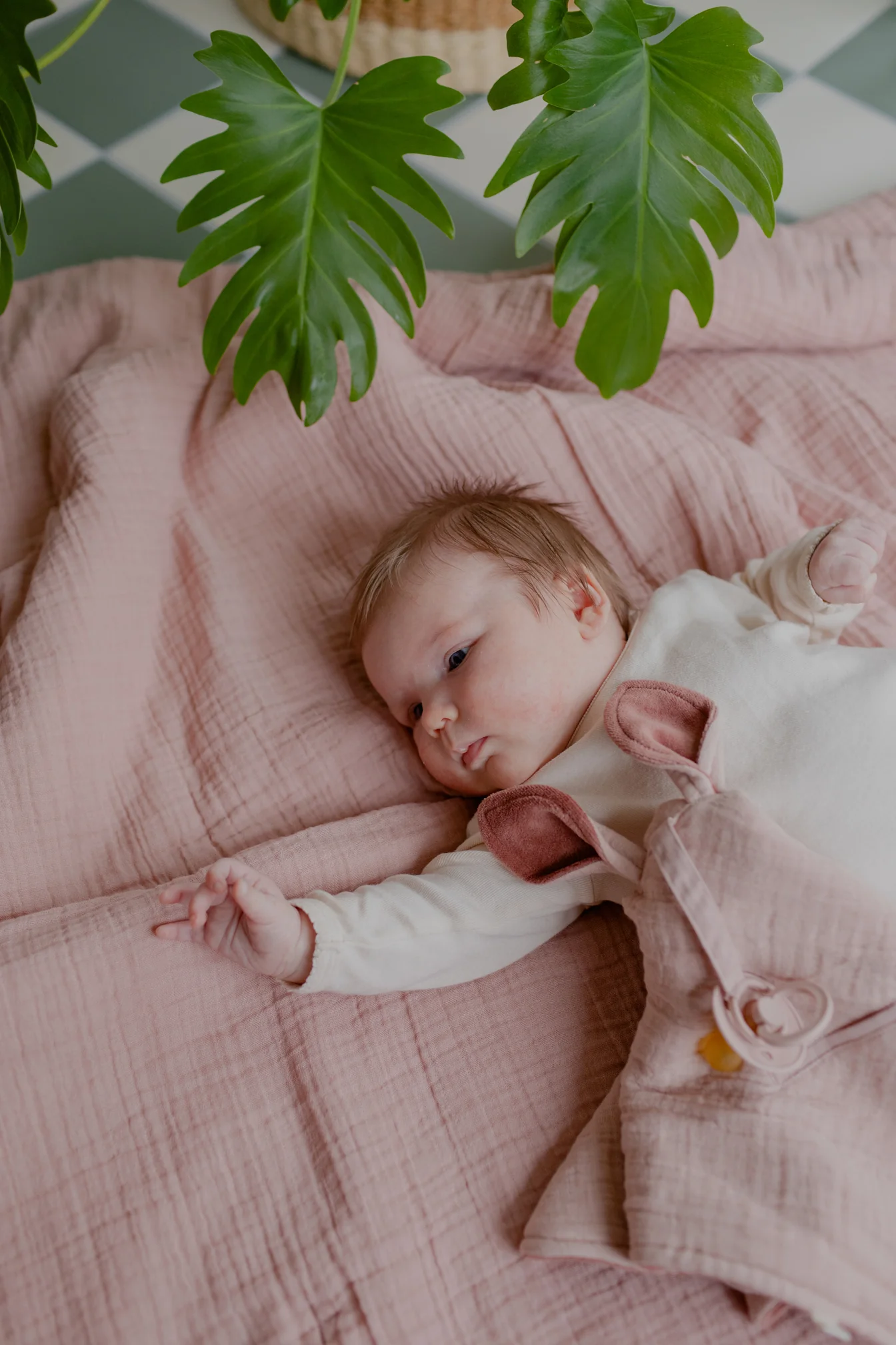 Kangaroo Cuddle Cloth - Blush - Image 2