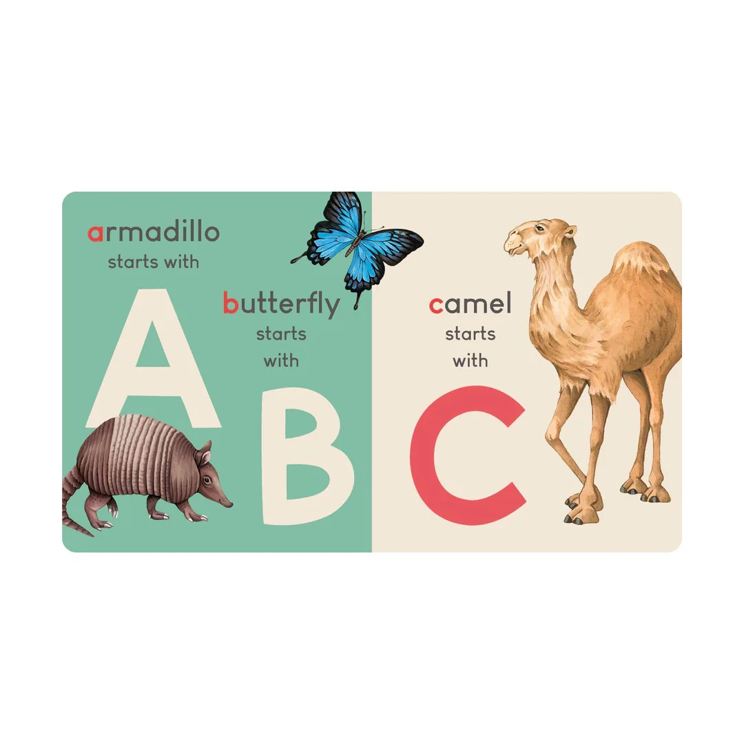 Carry Me Book - Animal Alphabet - Image 3