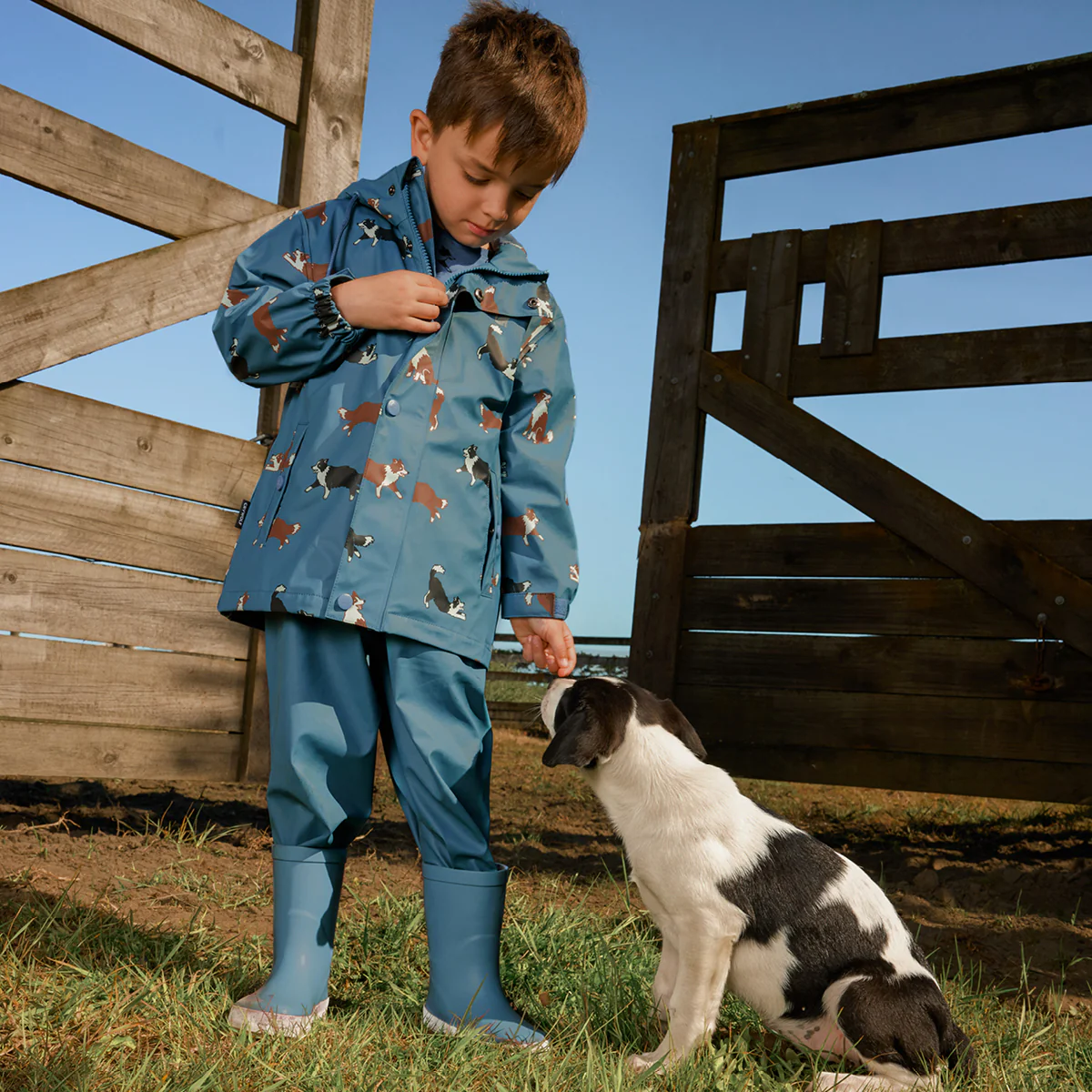 Play Jacket Collies - Image 2