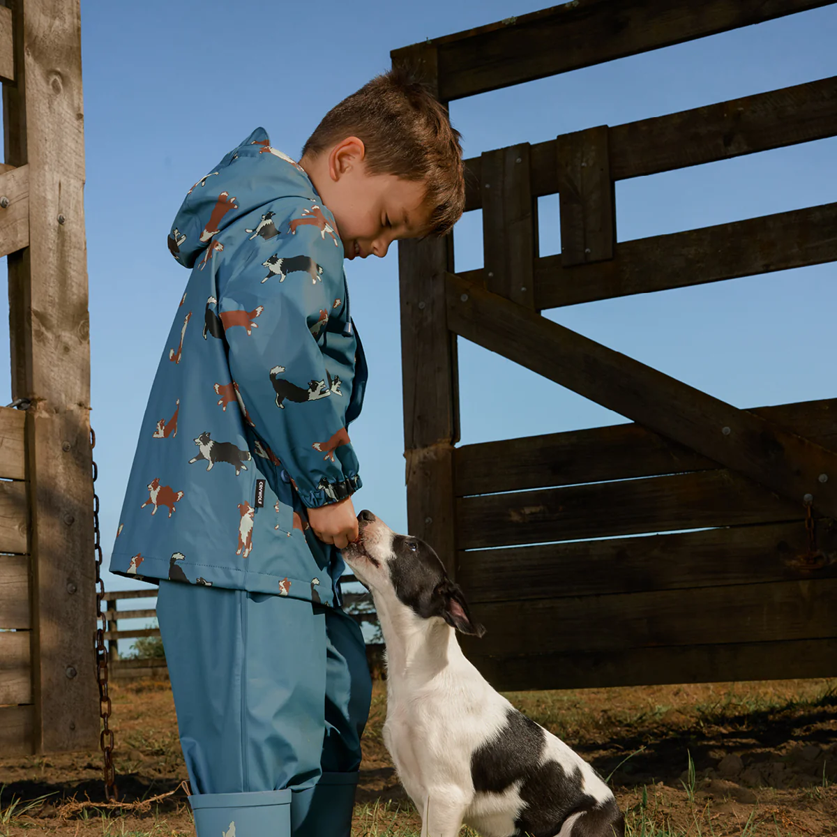 Play Jacket Collies - Image 3
