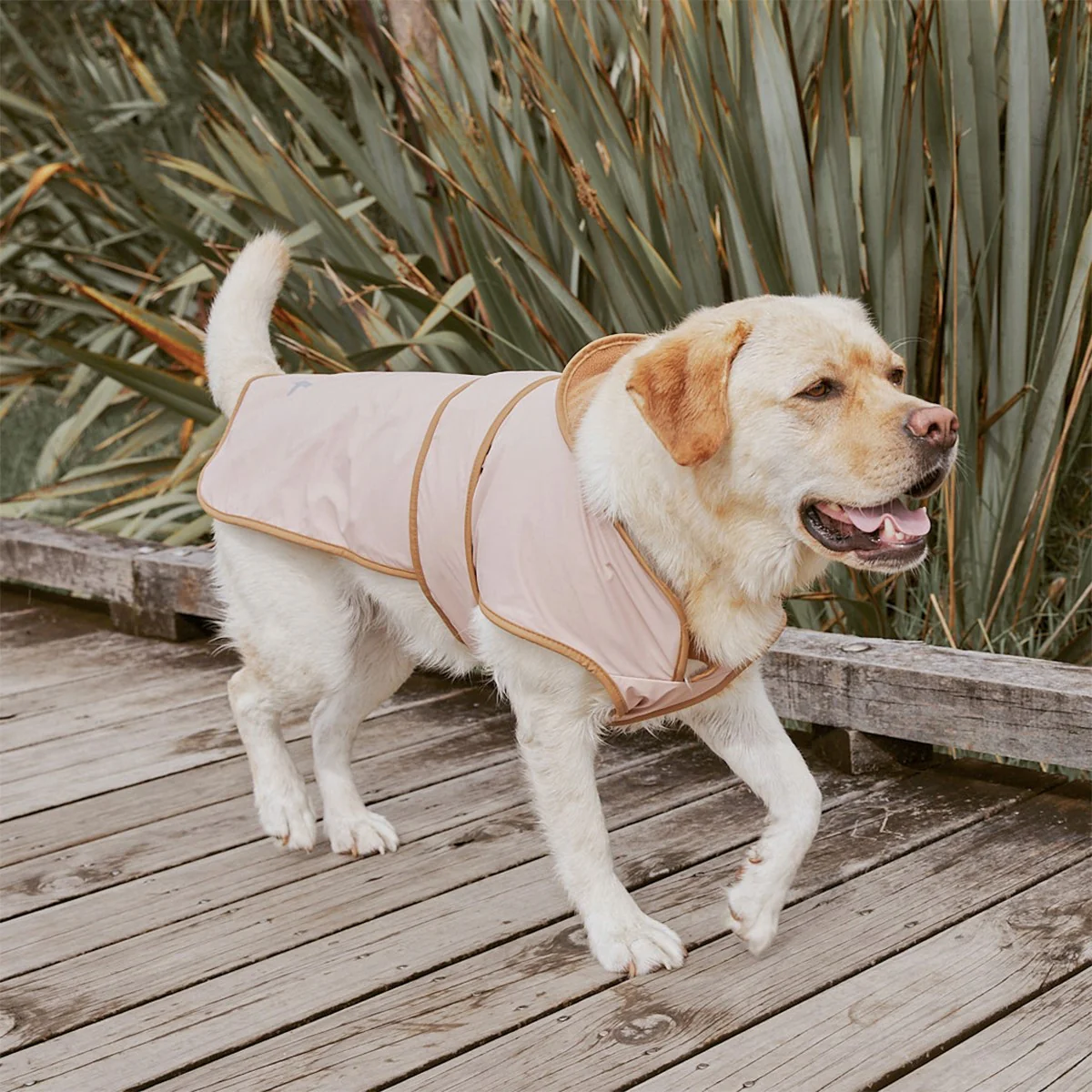 Crywolf Ruff Jacket - Dusty Pink - Image 4