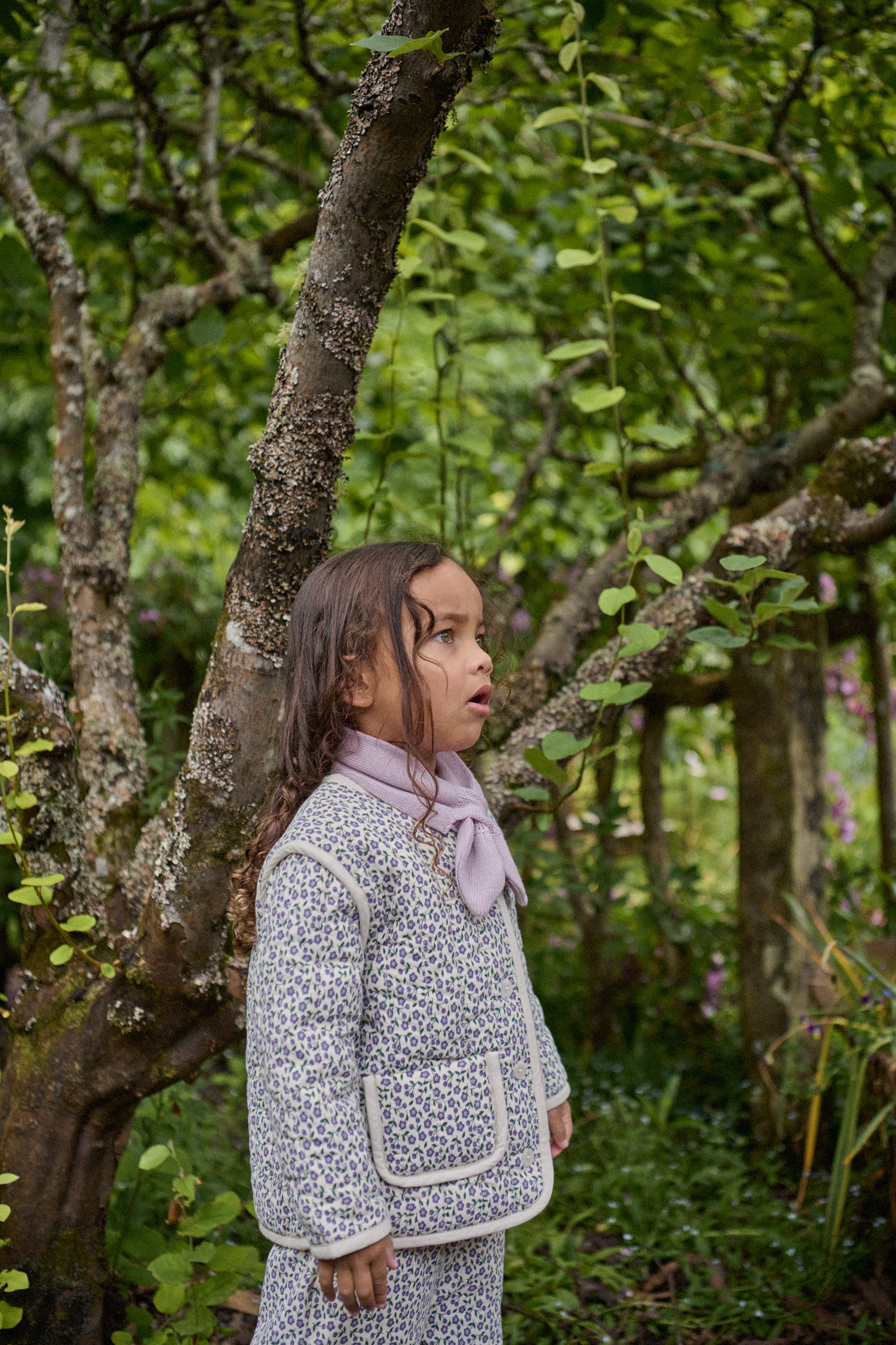 Edith Quilted Jacket Briarwood Heron Print - Image 2
