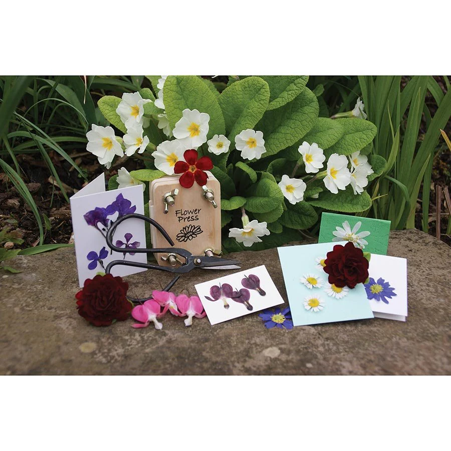 Flower Pressing Kit in a Tin - Image 4