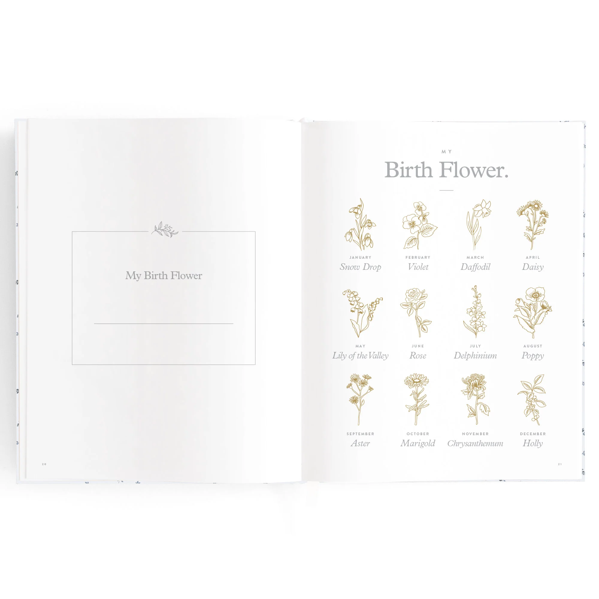Baby Book - Bluebell - Image 9