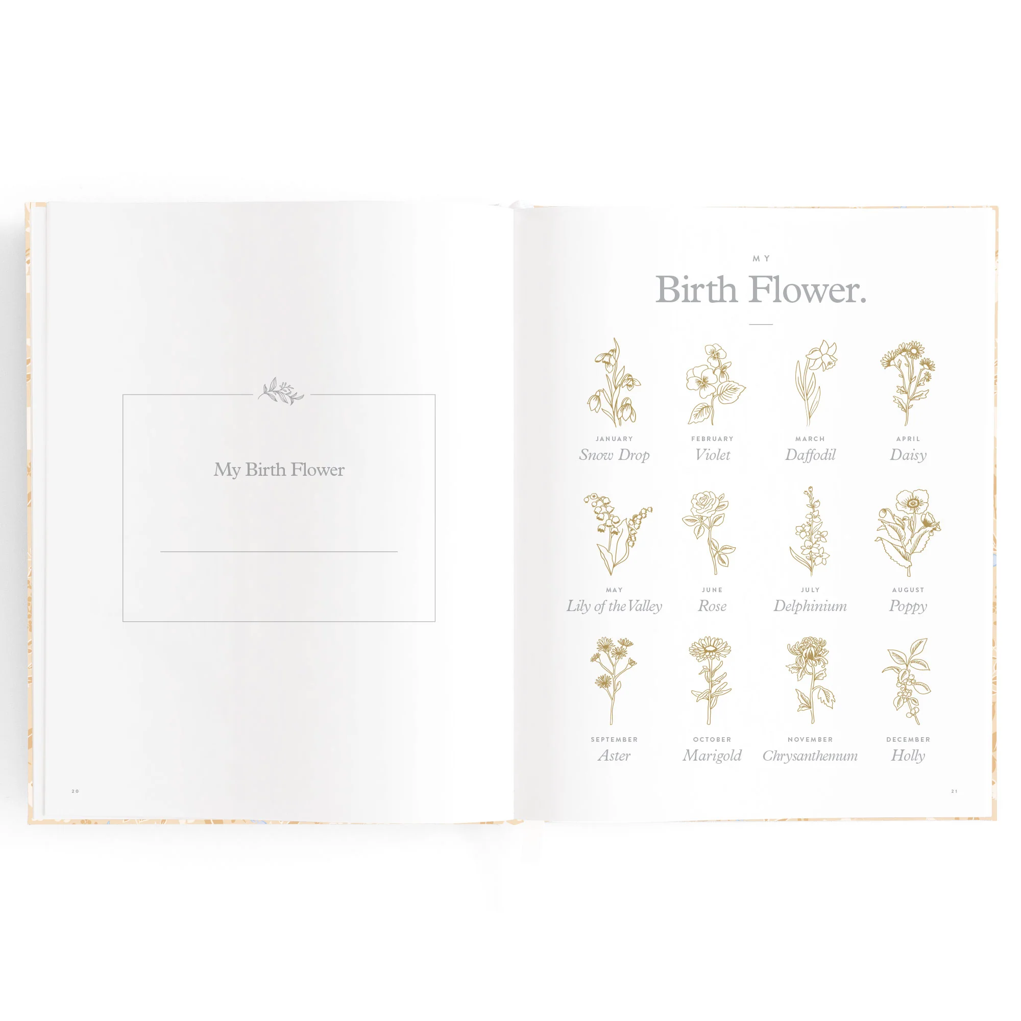 Baby Book - Forest Friends Maple - Image 19