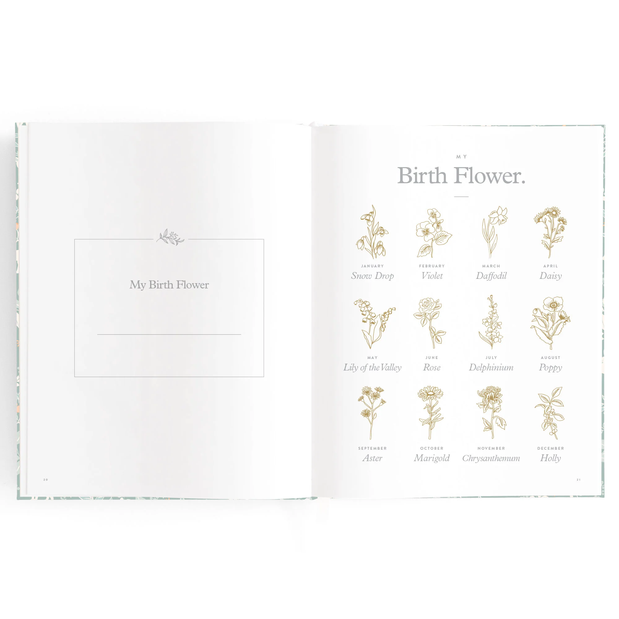 Baby Book - Forest Friends Sage - Image 9