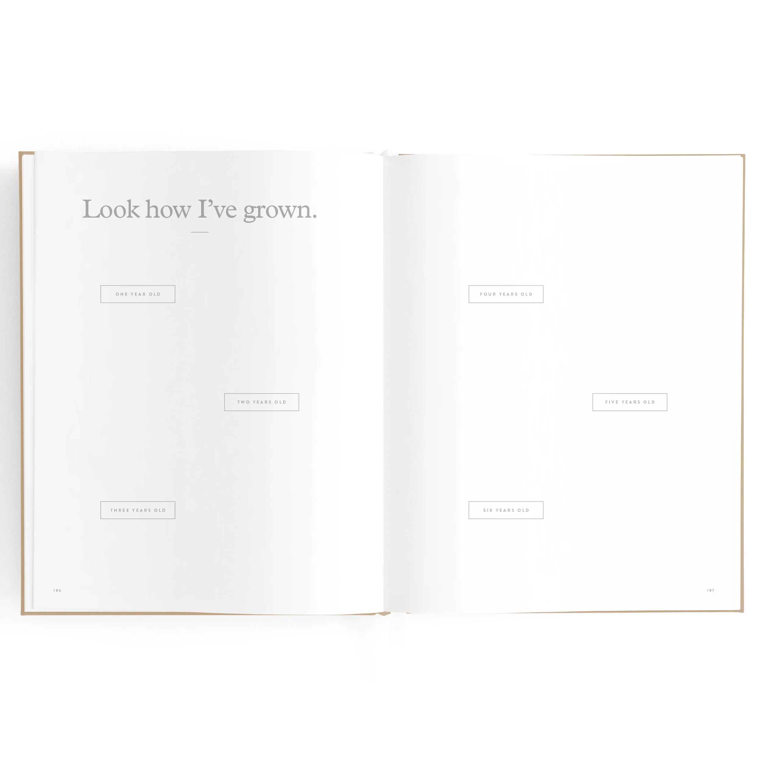 Baby Book - Biscuit (Boxed) - Image 35