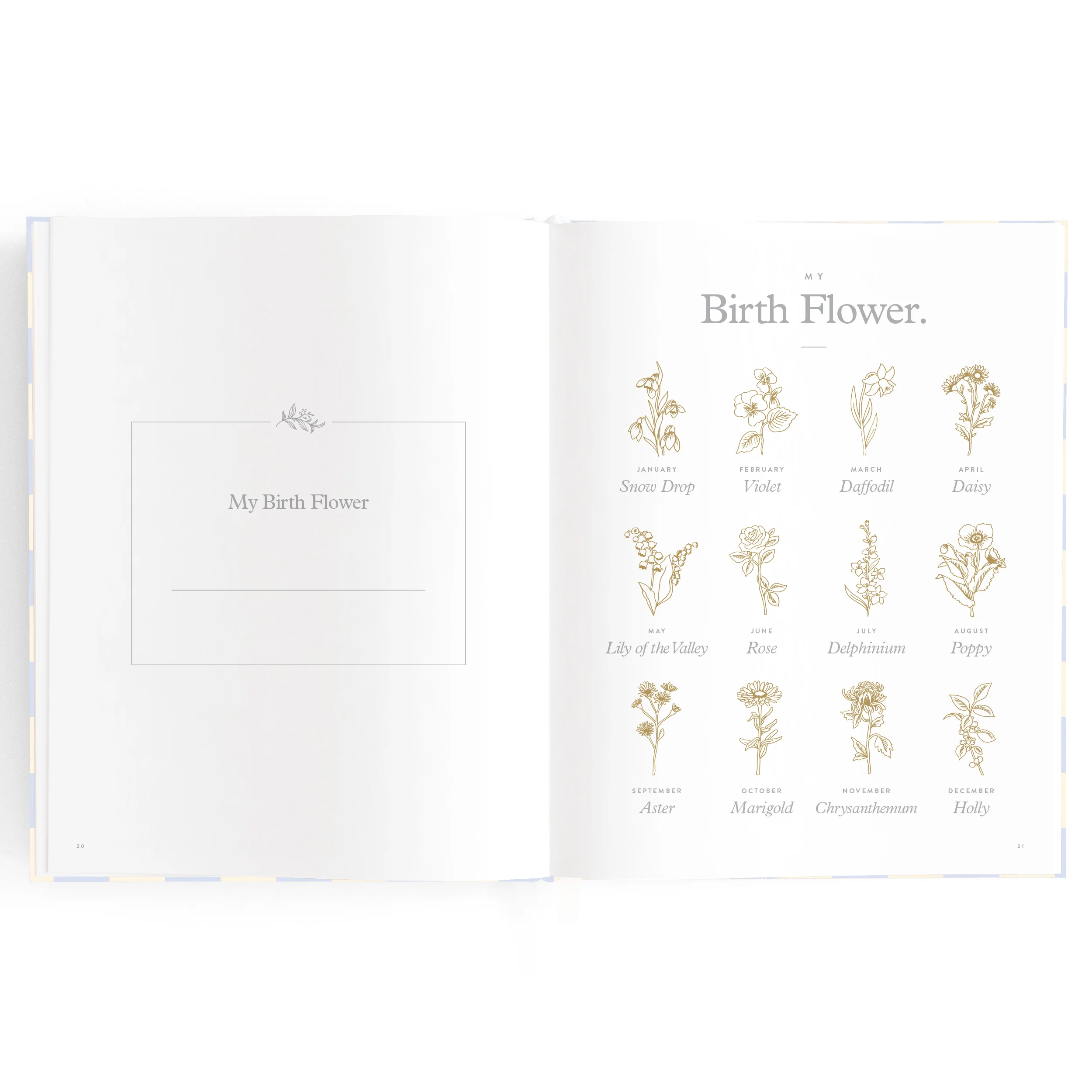 Baby Book - Blue Check - Image 12