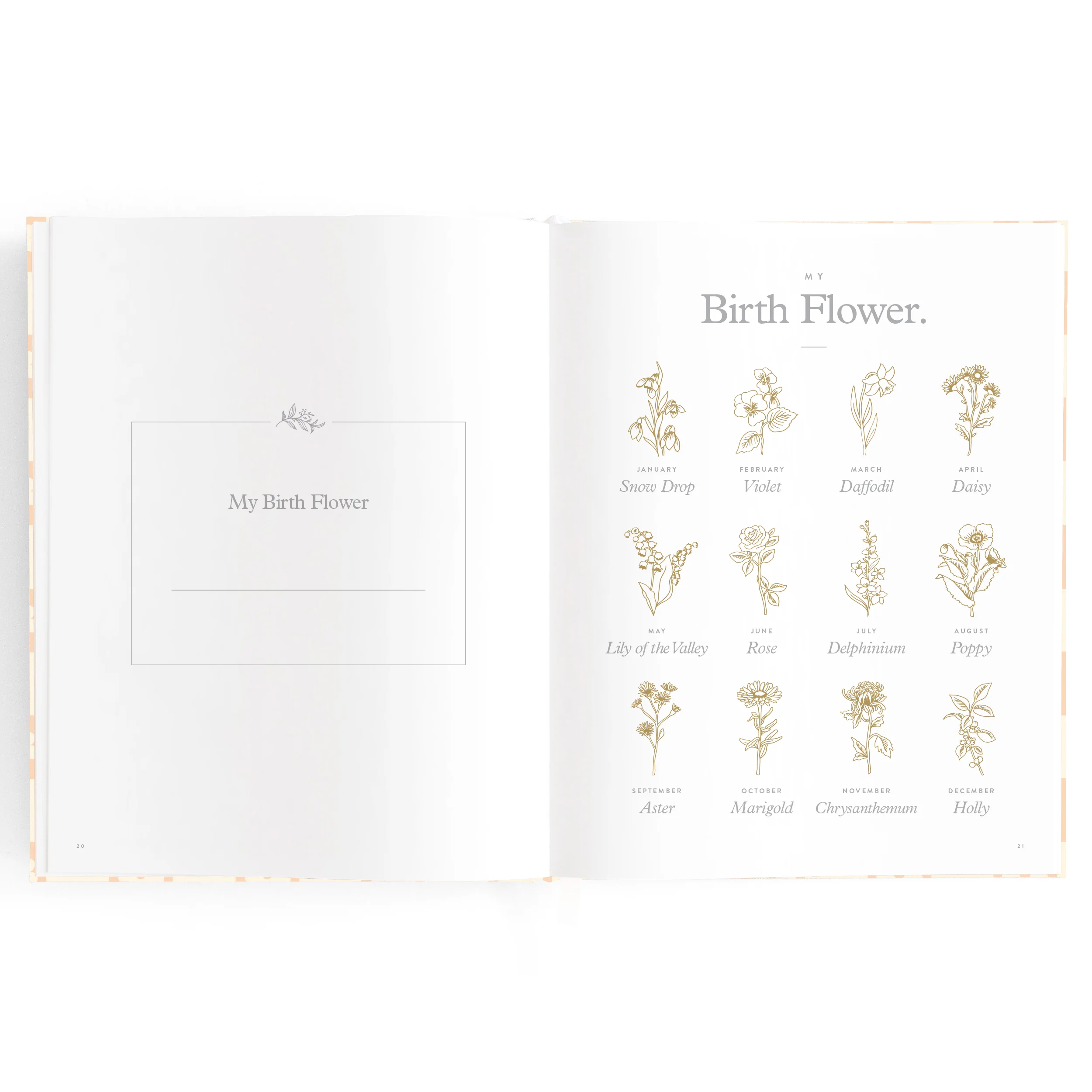 Baby Book - Daisy Grid - Image 14