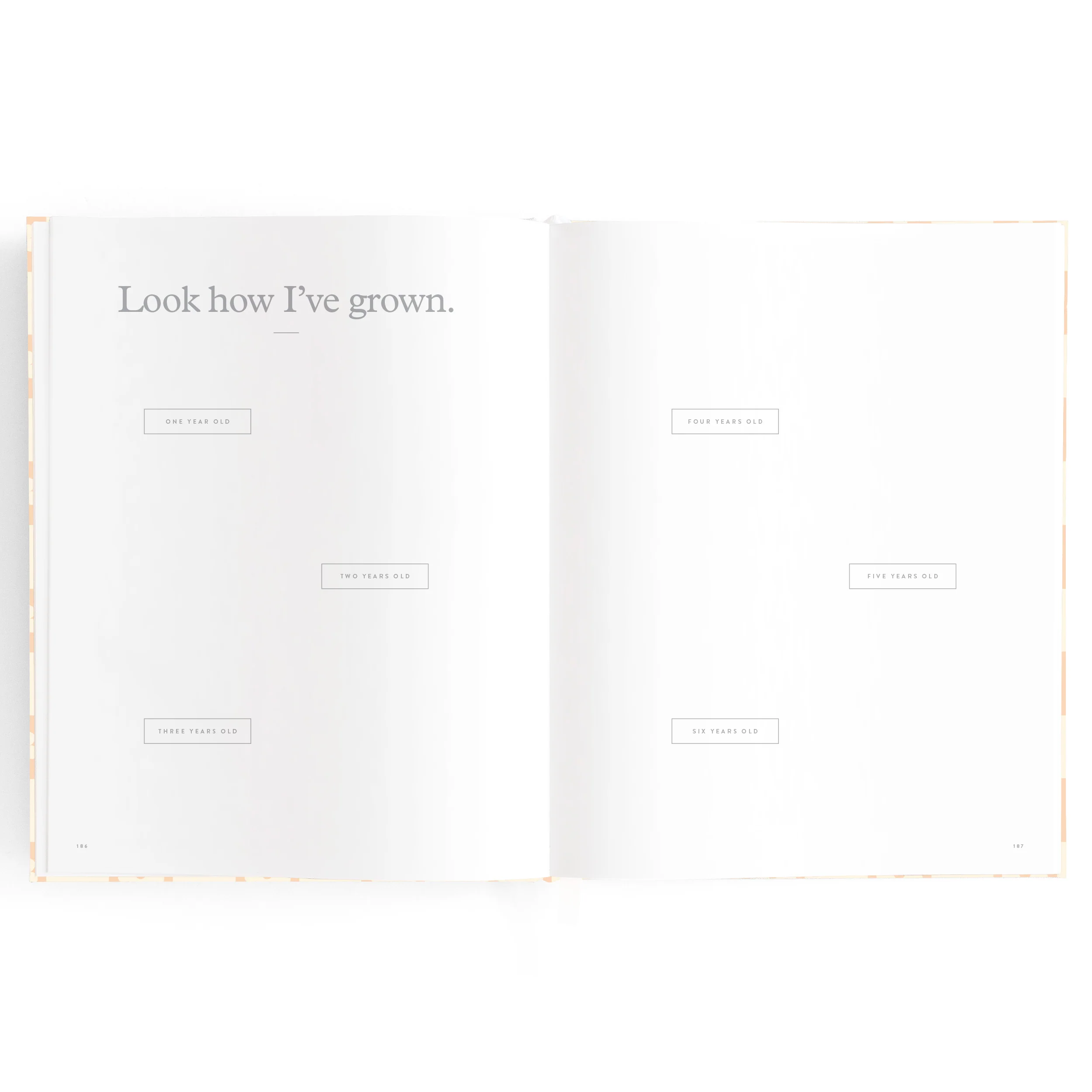 Baby Book - Daisy Grid - Image 31
