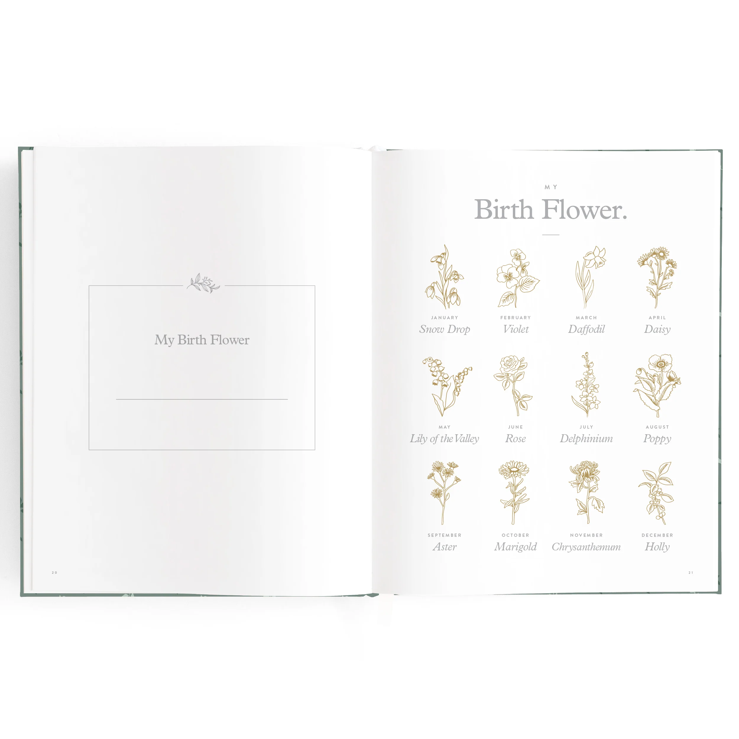 Baby Book - Pine (Boxed) - Image 14