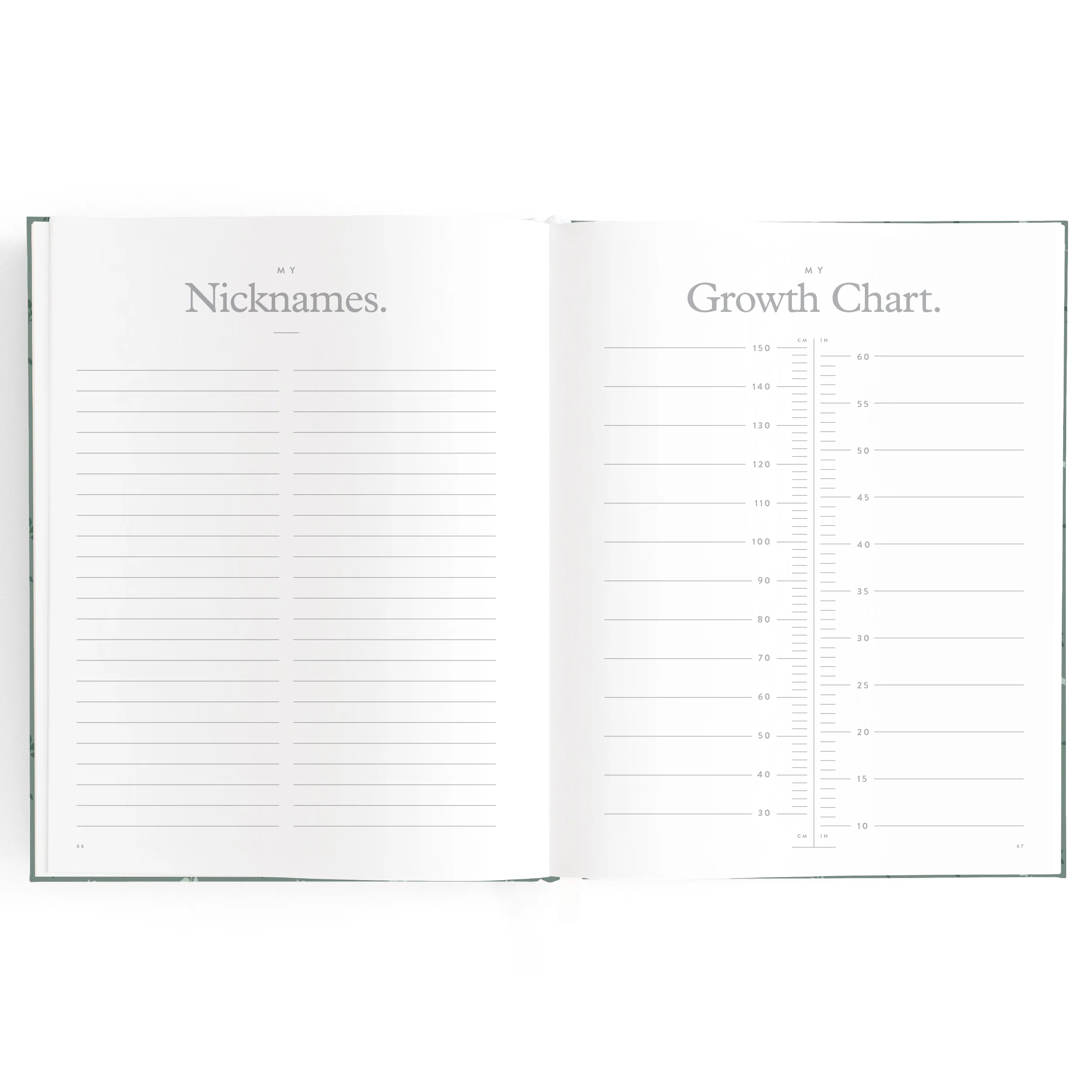 Baby Book - Pine (Boxed) - Image 20