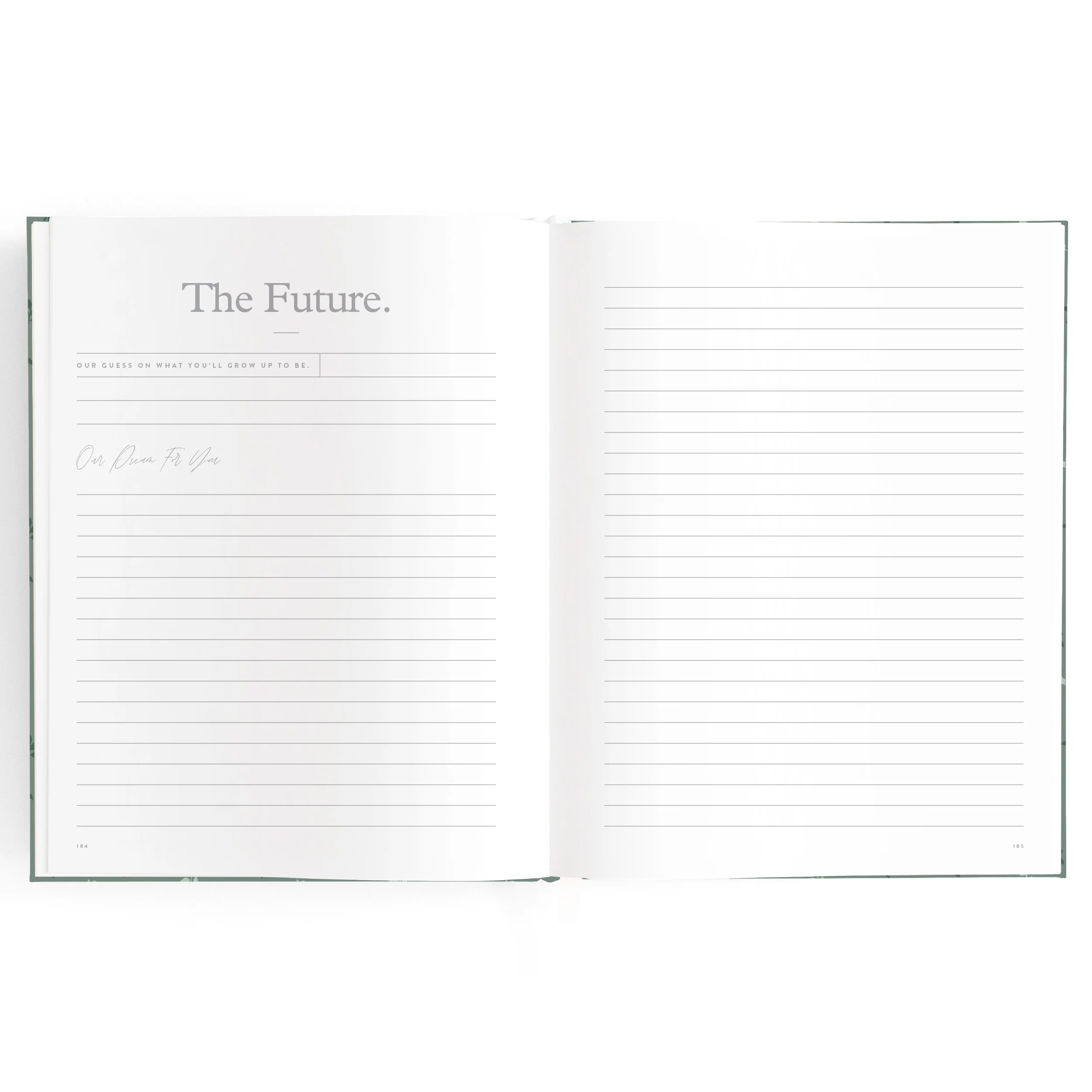 Baby Book - Pine (Boxed) - Image 30