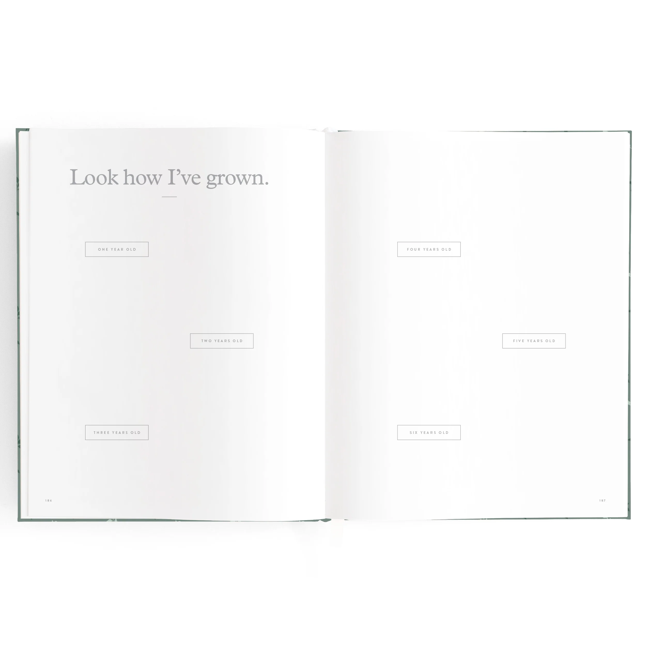 Baby Book - Pine (Boxed) - Image 31