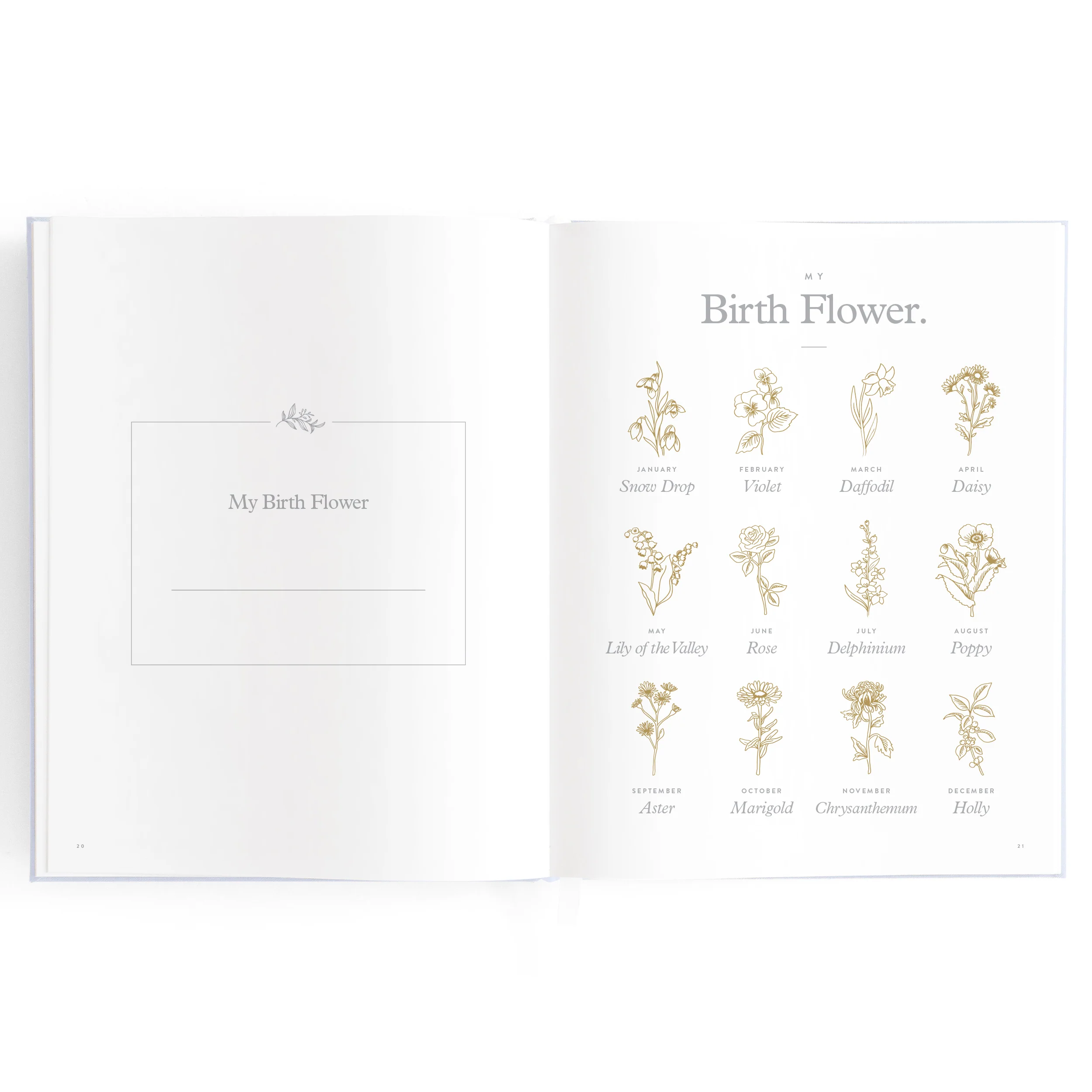 Baby Book - Powder - Image 13