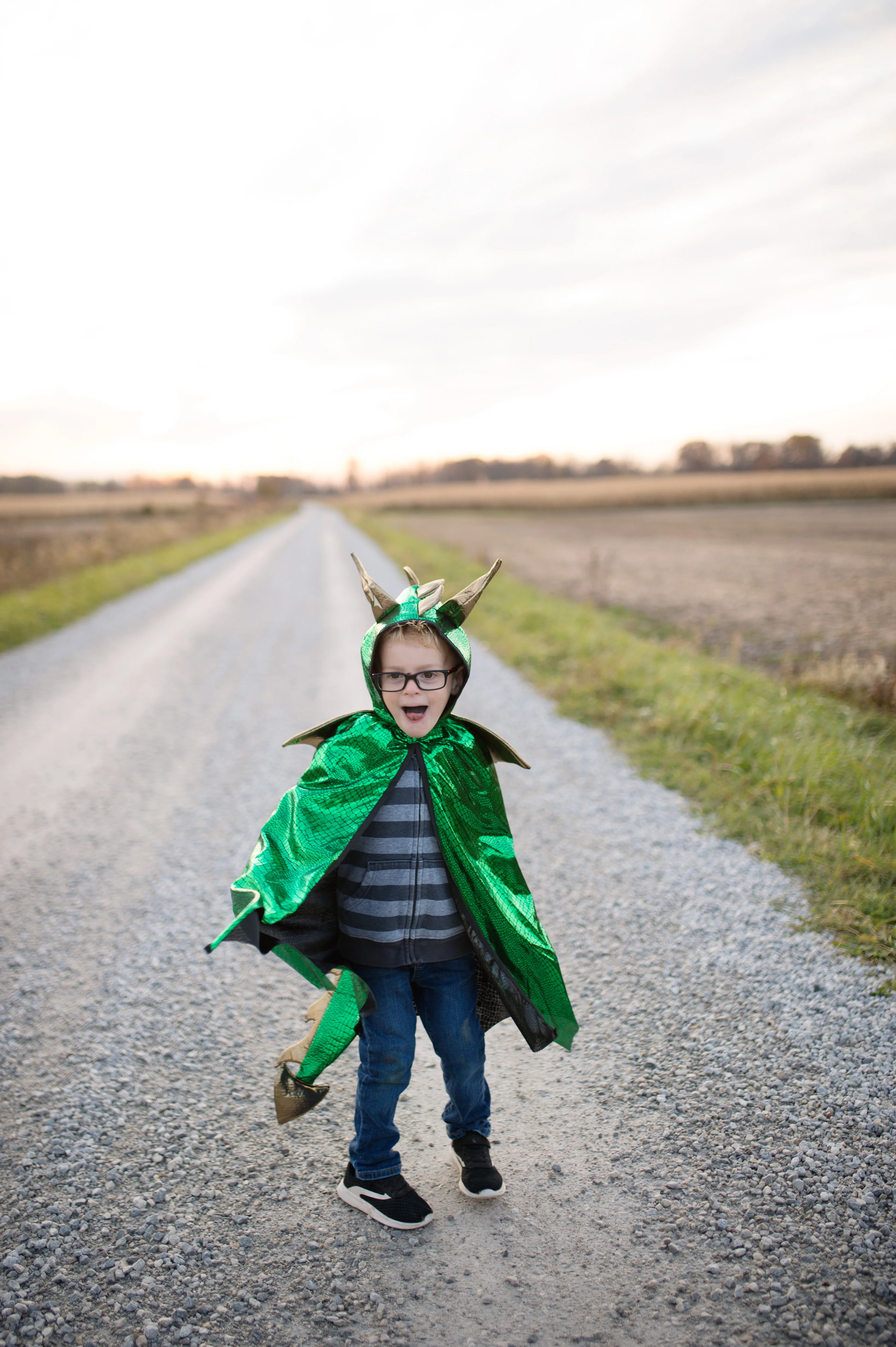 Green & Gold Dragon Cape - Size 5-6 - Image 2