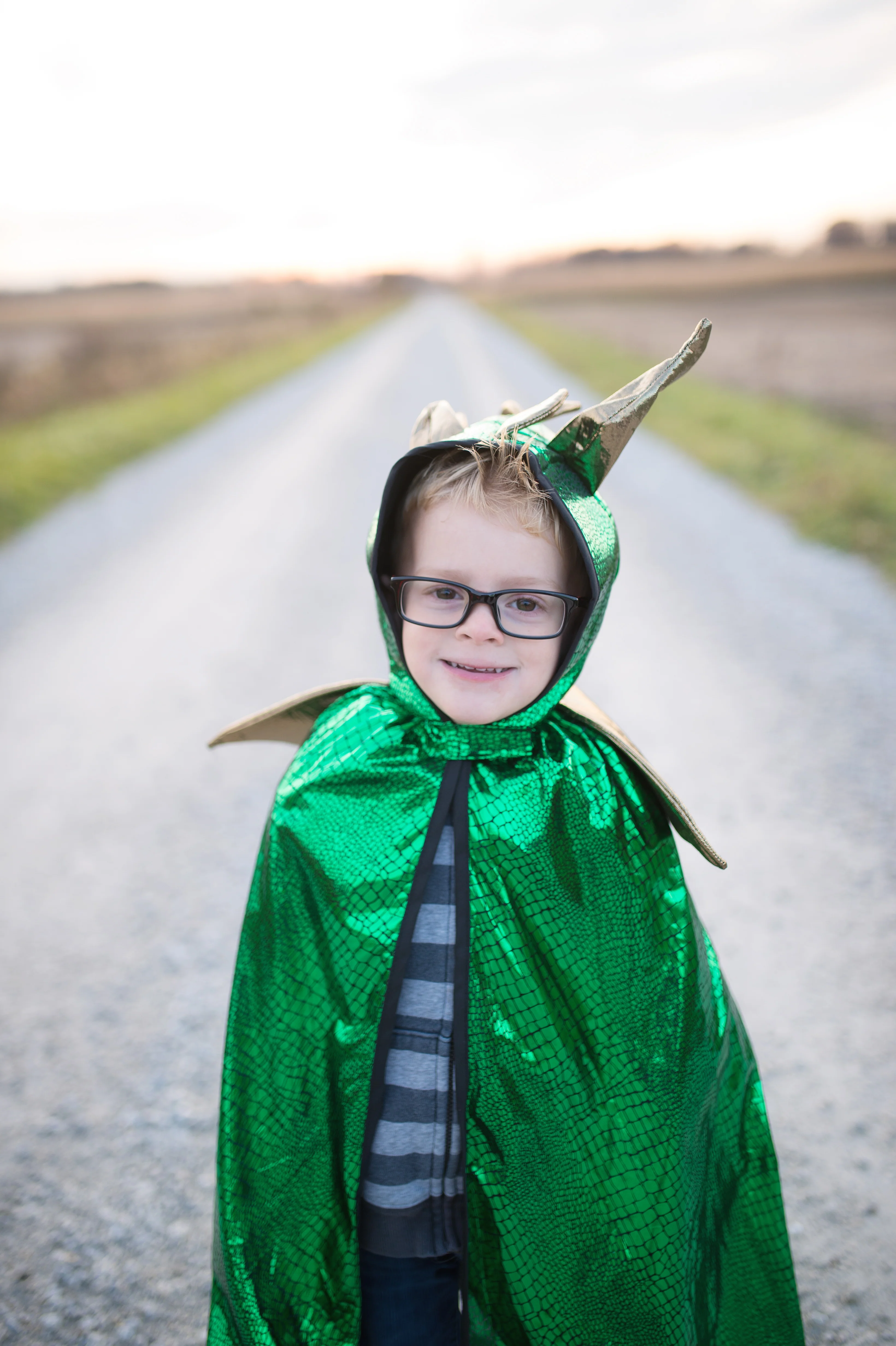 Green & Gold Dragon Cape - Size 5-6 - Image 3