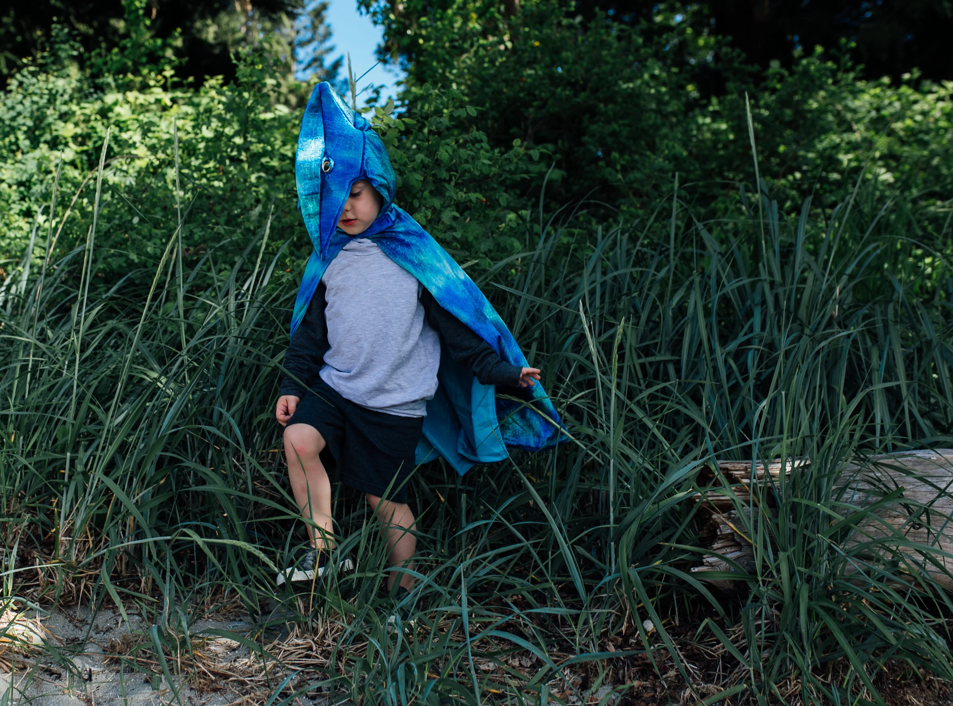 Pterodactyl Hooded Cape - Size 4-5 - Image 6