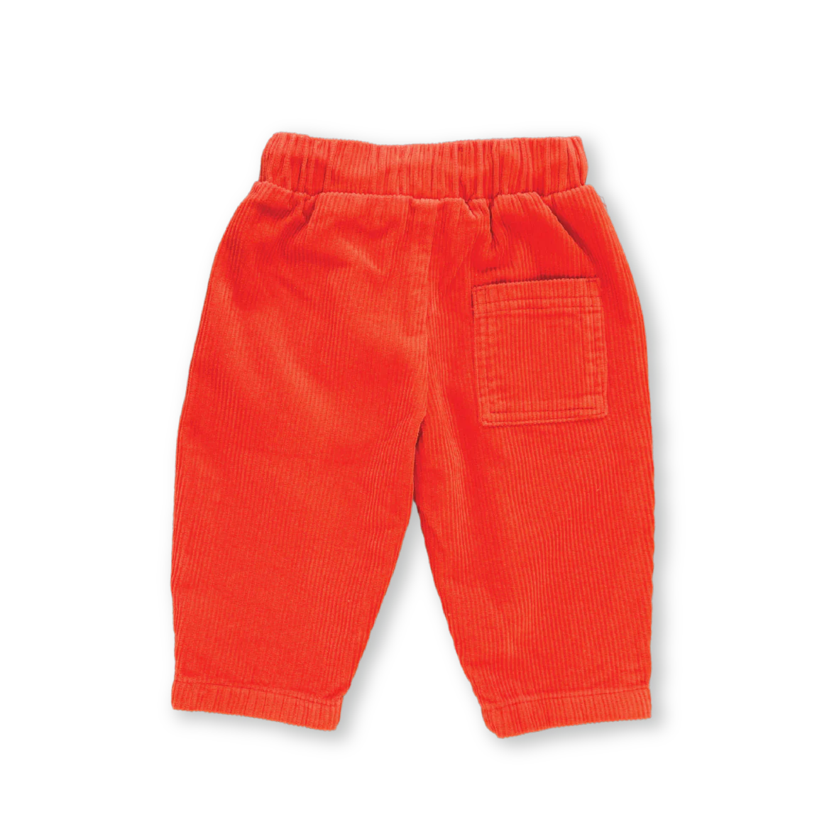 Organic Cord Pant - Tomato - Image 4