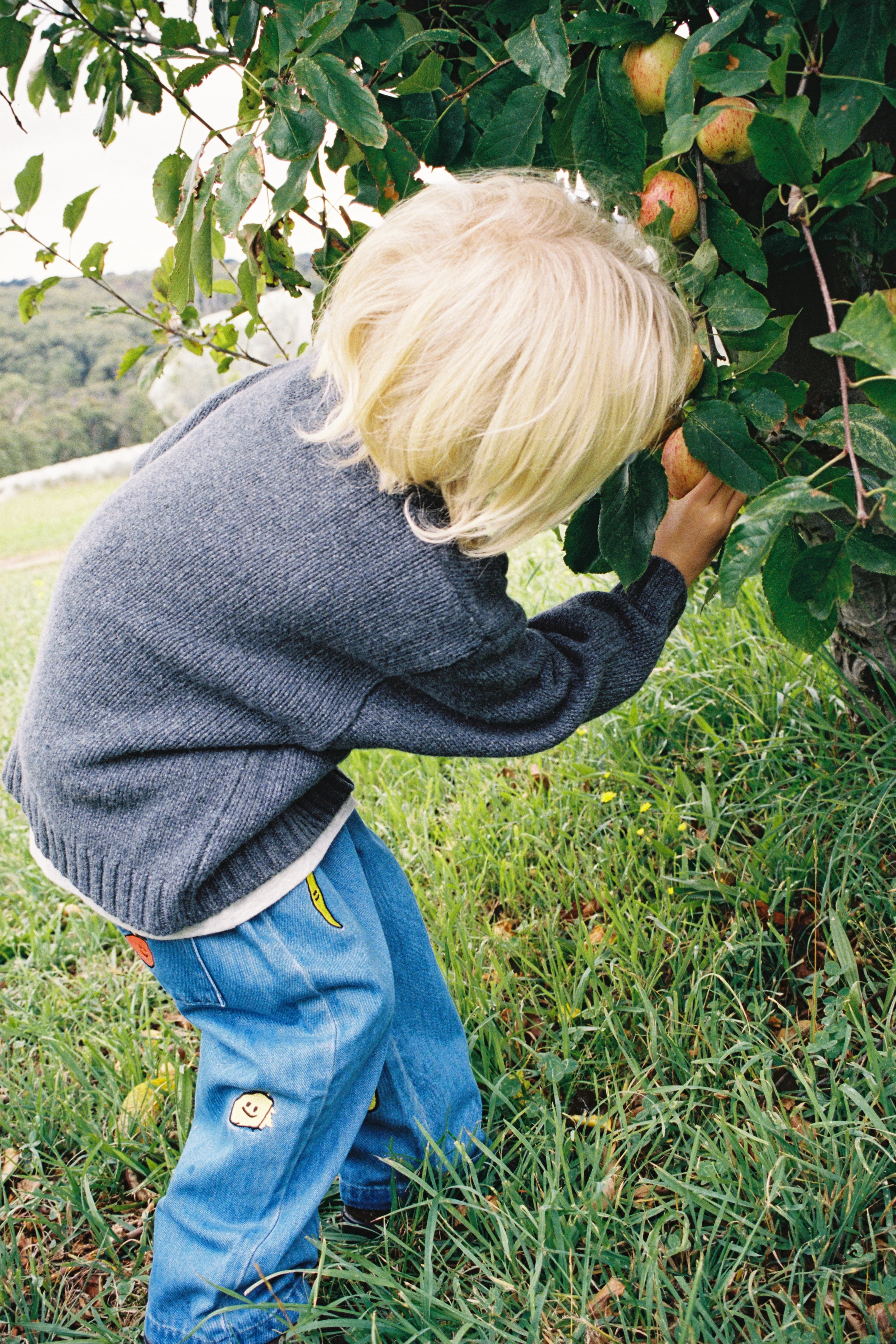 Organic Denim Pant - Fruit Salad - Image 3