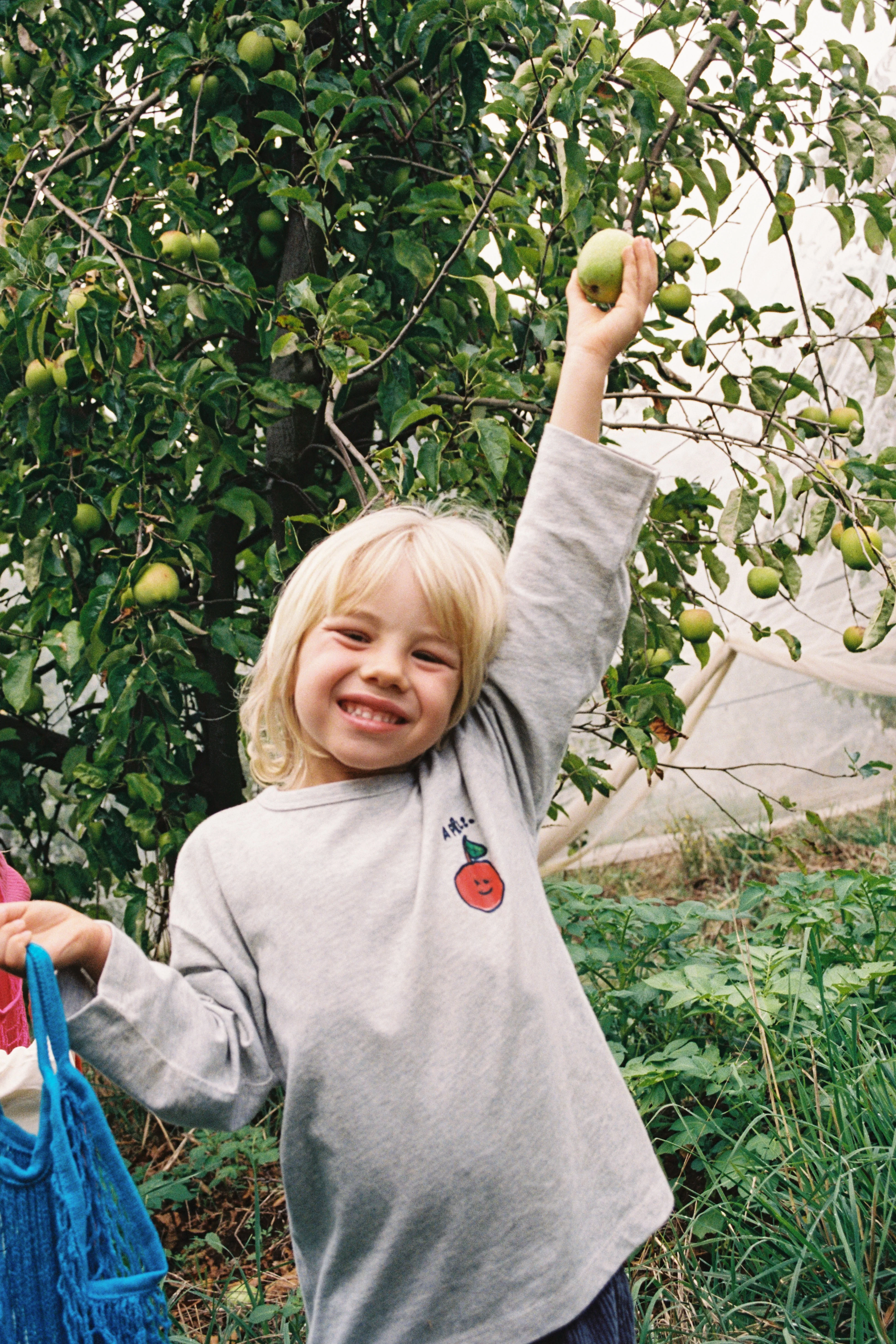 Organic Fruit Salad Longsleeve Tee - Grey Marle - Image 3