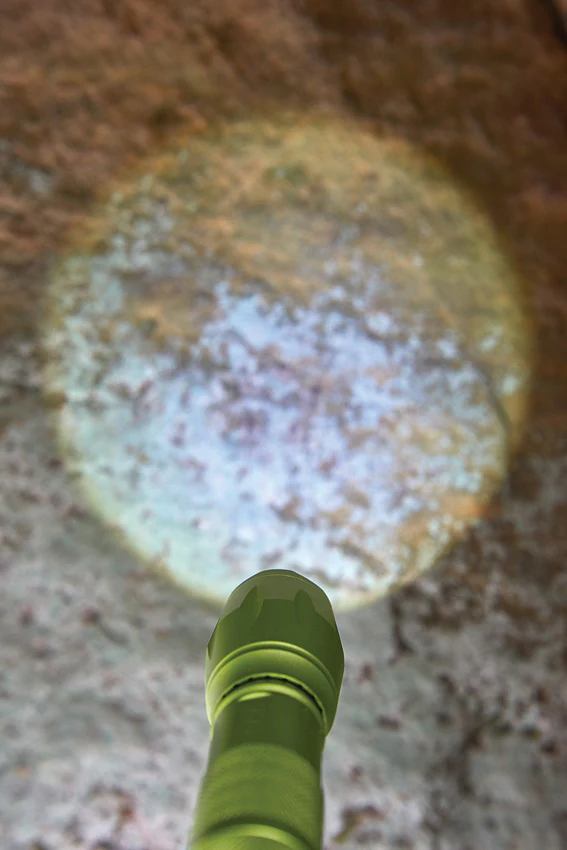 Terra Kids Torch - Image 4