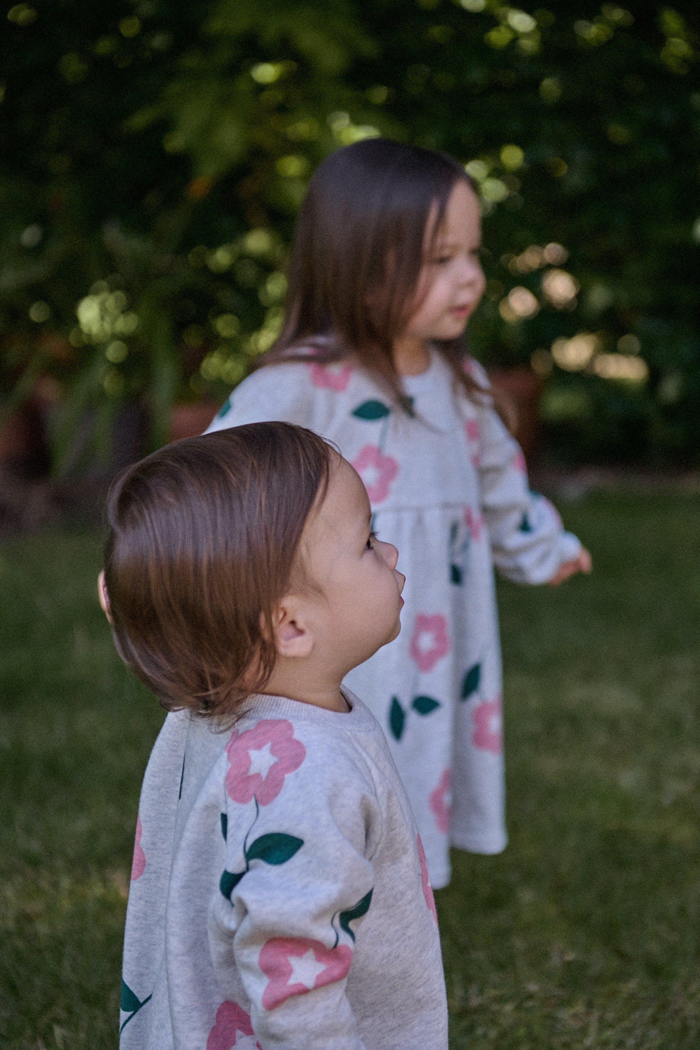 Ines Dress - Primrose Print - Image 4