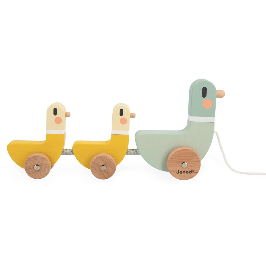 Cocoon Pull Along Ducks - Image 5