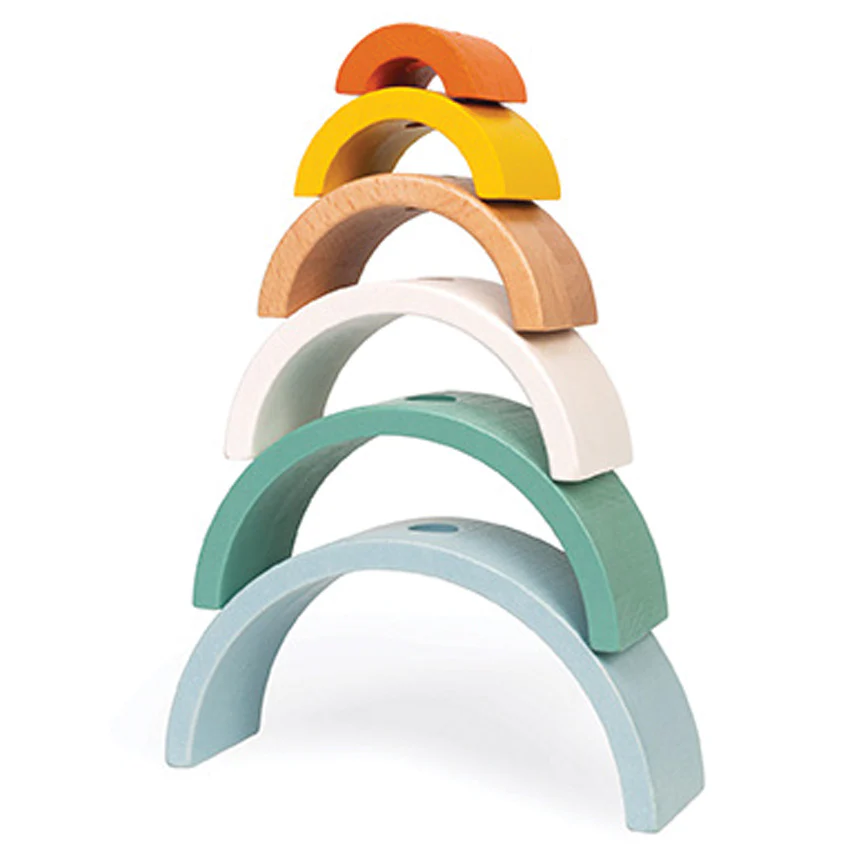Cocoon Rainbow Turtle - Image 4