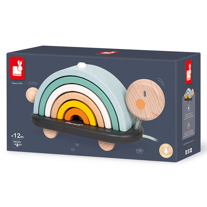 Cocoon Rainbow Turtle - Image 5