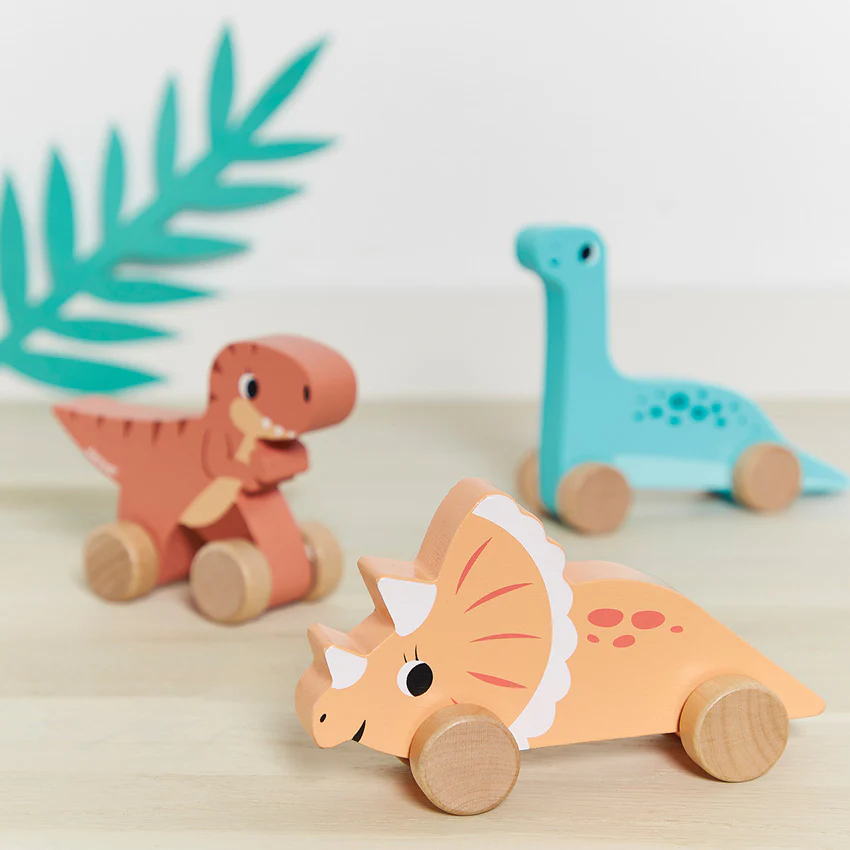 Dino Push-Alongs - Assorted - Image 4