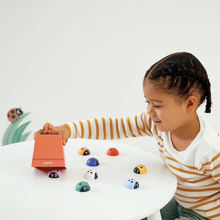 Ladybird Memory Game - Image 2
