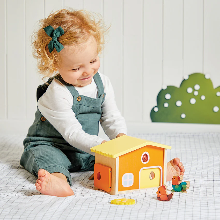 My First Hen House - Image 4