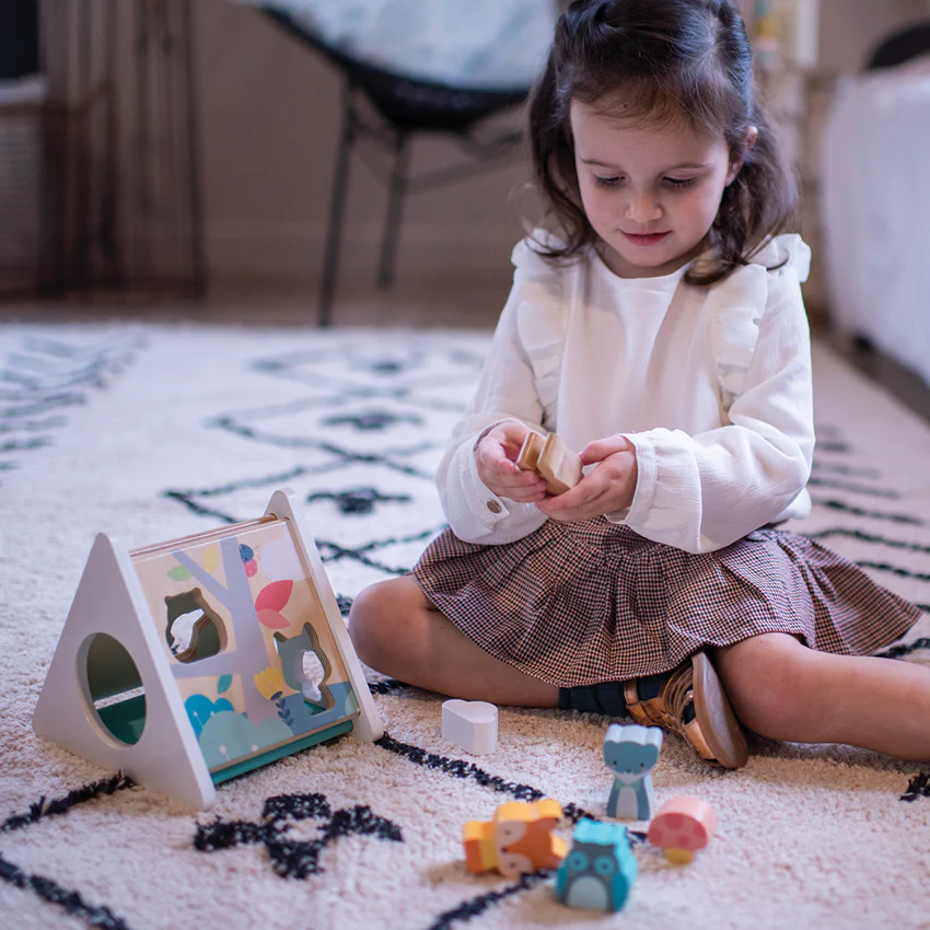 Pure Shape Sorter - Image 2