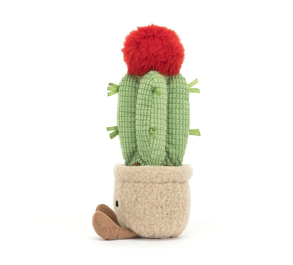 Jellycat Amuseables Moon Cactus - Image 2
