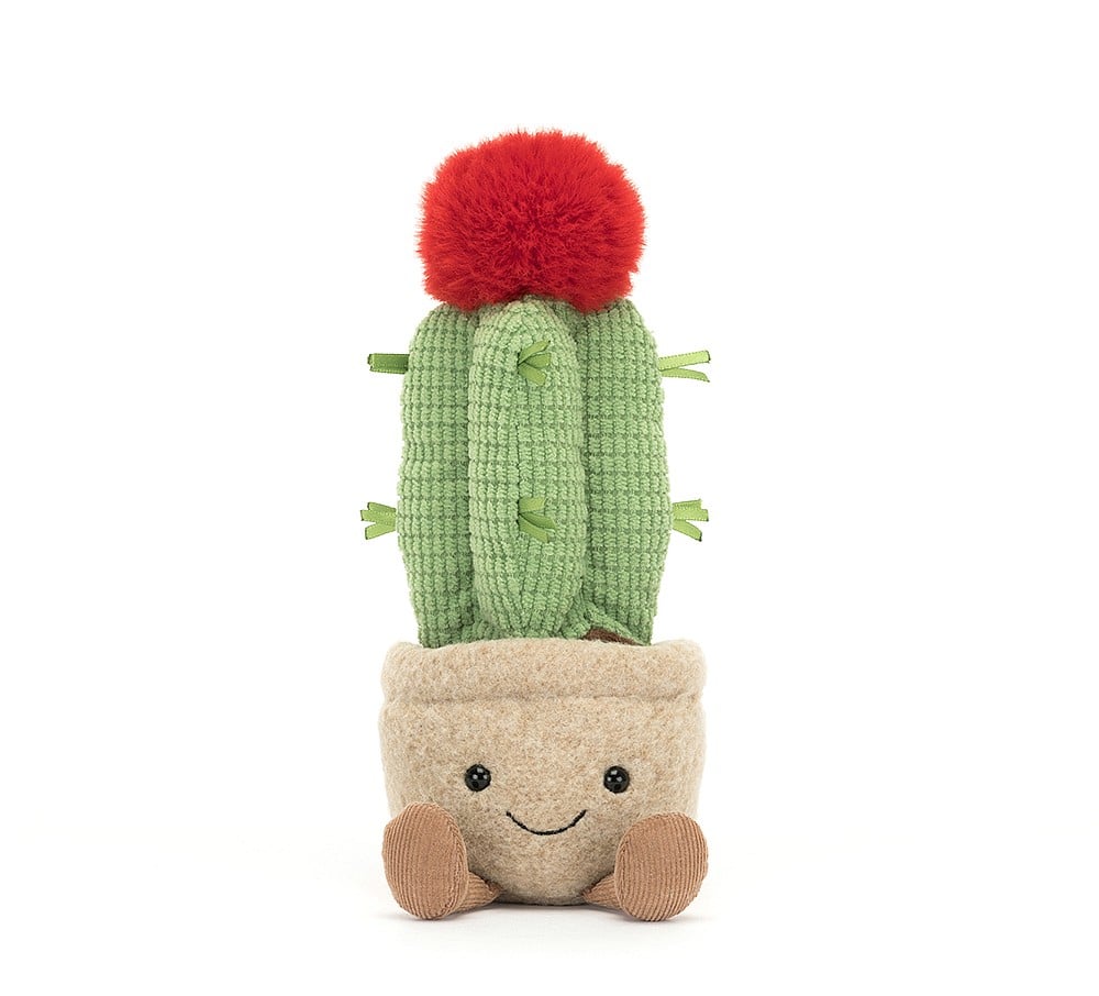 Jellycat Amuseables Moon Cactus - Image 3