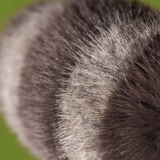 Jellycat Trixiwoo Raccoon - Image 2