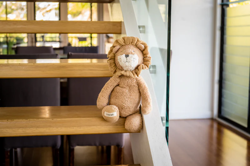 Lionel the Lion - Organic - Image 2