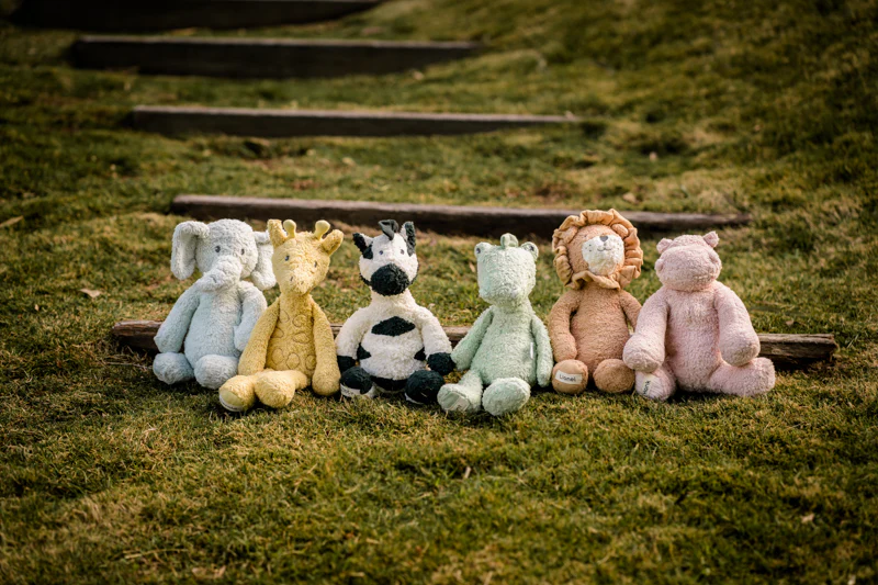 Lionel the Lion - Organic - Image 4