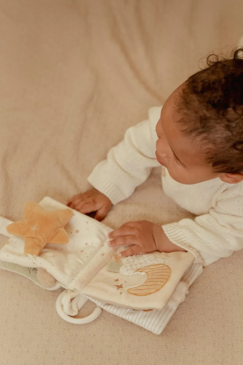 Goose Stroller Book - Image 2