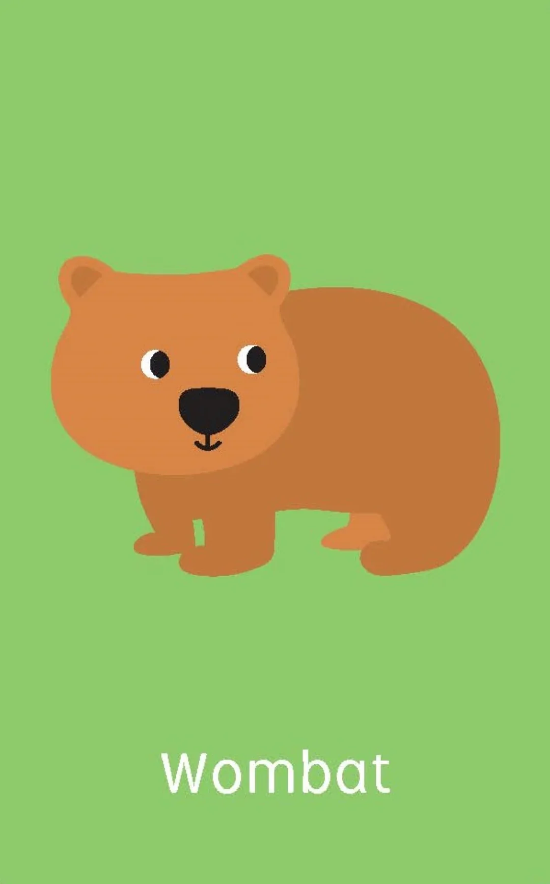 Little Genius Volume 2 - Snap Cards - Australian Animals - Image 2
